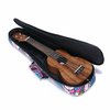 Obal-na-ukulele-21-ub-02-1-21-3.jpg