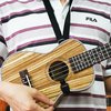 Pas-na-ukulele-2.jpg
