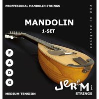 Struny na mandolínu